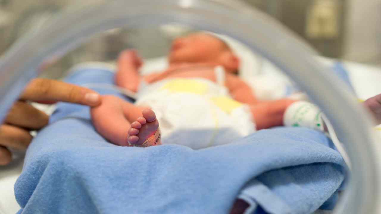 bambino morto errore in ospedale