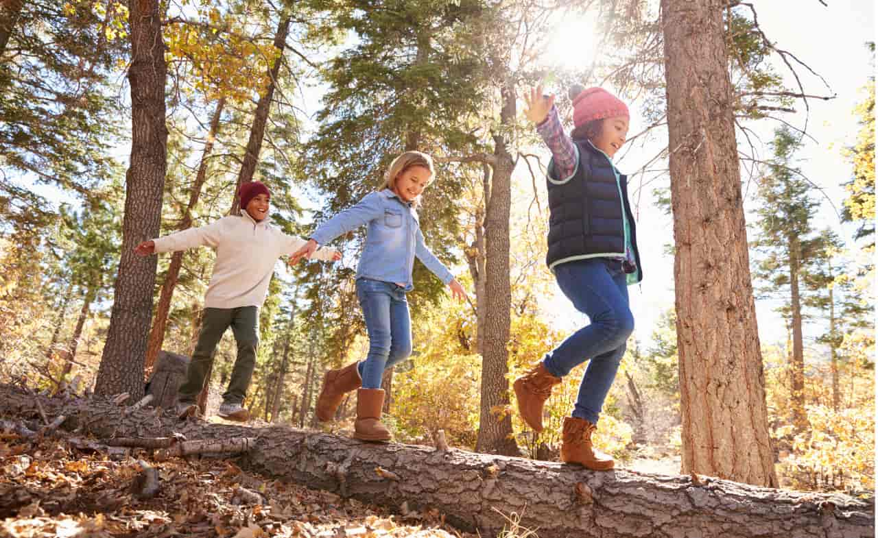 bambini abbandonati nel bosco