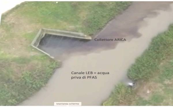 pfas acqua contaminata