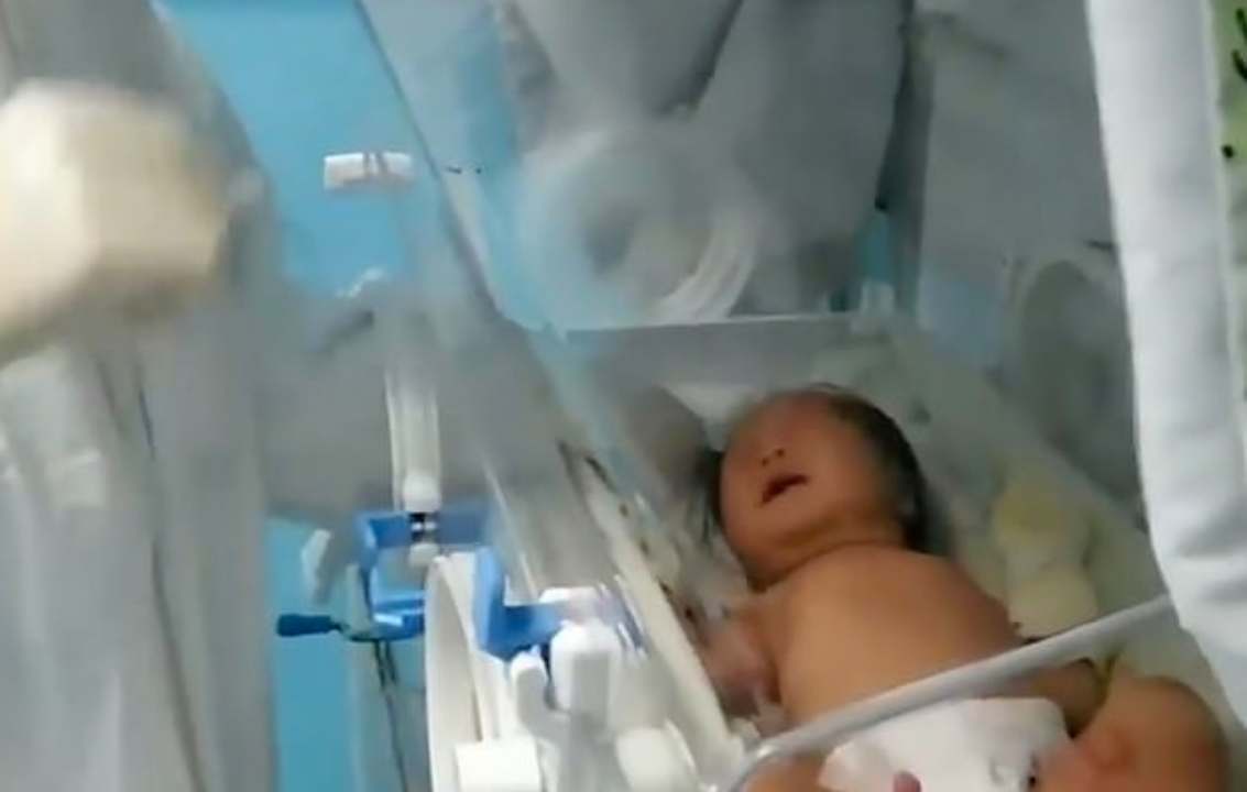 neonata guarita coronavirus