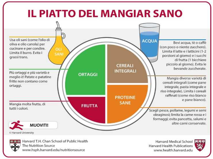 Coronavirus cibo e sistema immunitario1