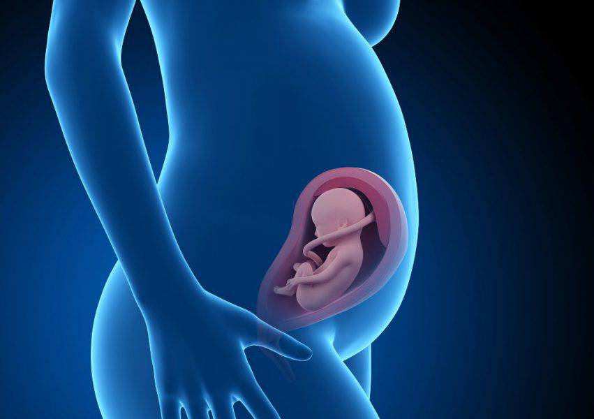 feto 28 settimane bambino gesu