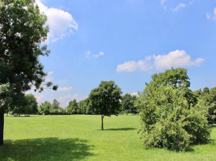 Ultimo giorno di scuola a parco