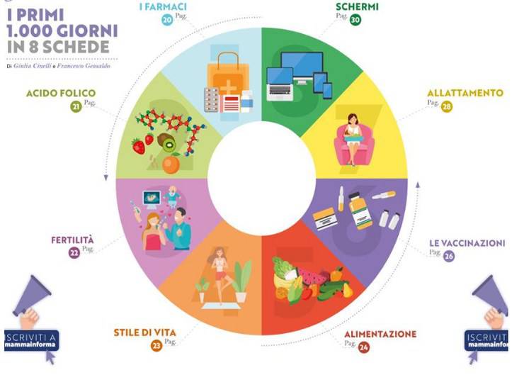 Teoria dei primi 1000 giorni