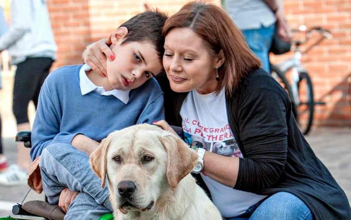 Ragazzino disabile aiutato