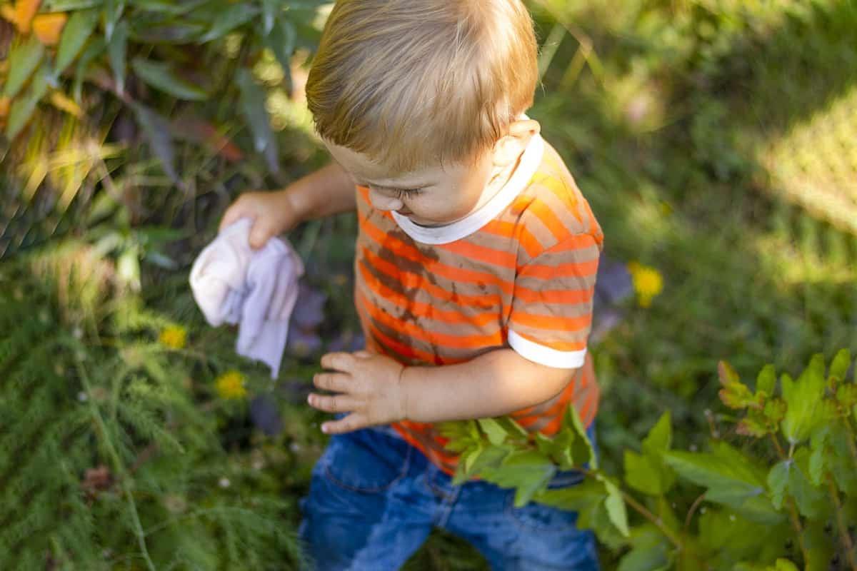 bambino di 2 anni prato