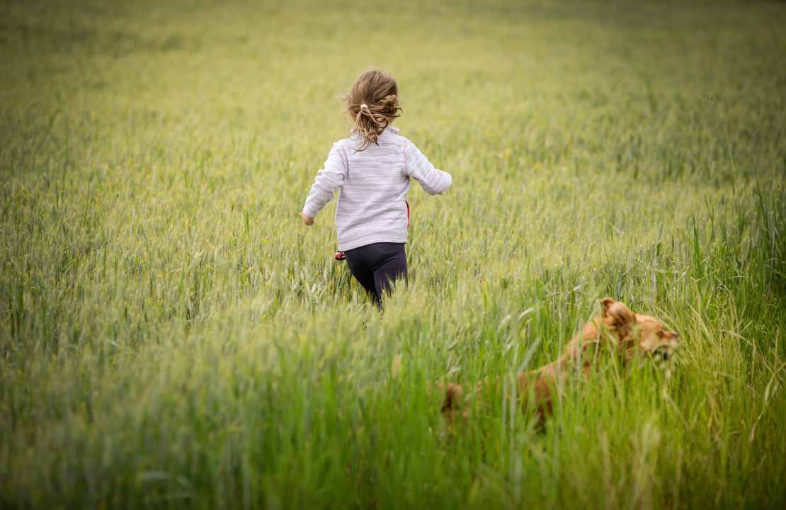 andare in vacanza con un cane