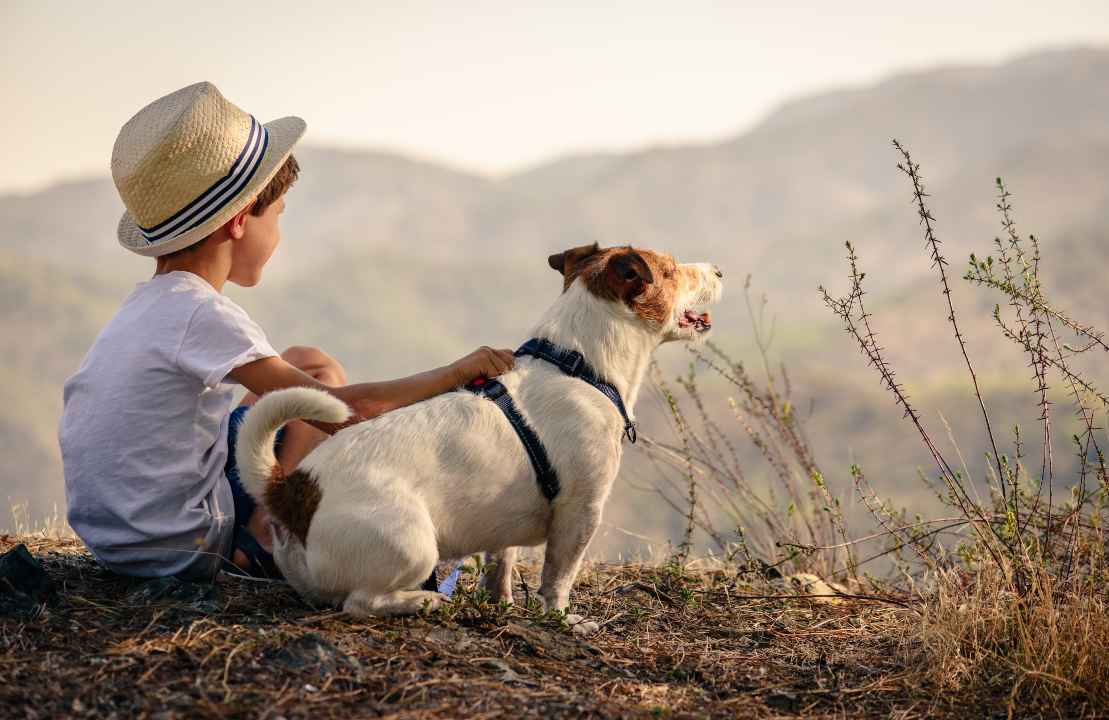 Dove andare in vacanza 