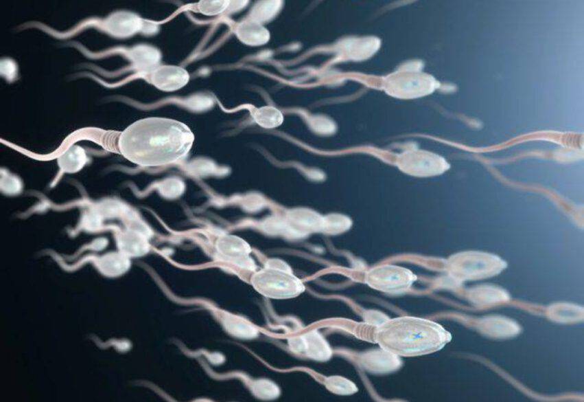 qualità sperma