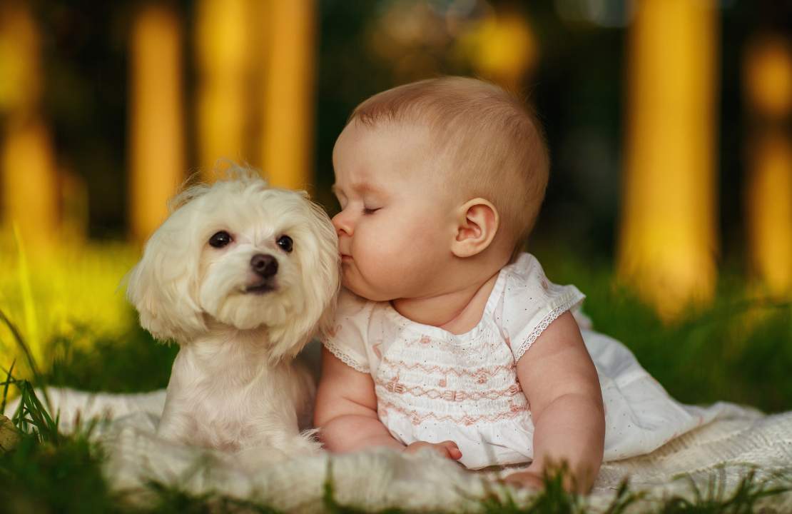 come scegliere cane famiglia