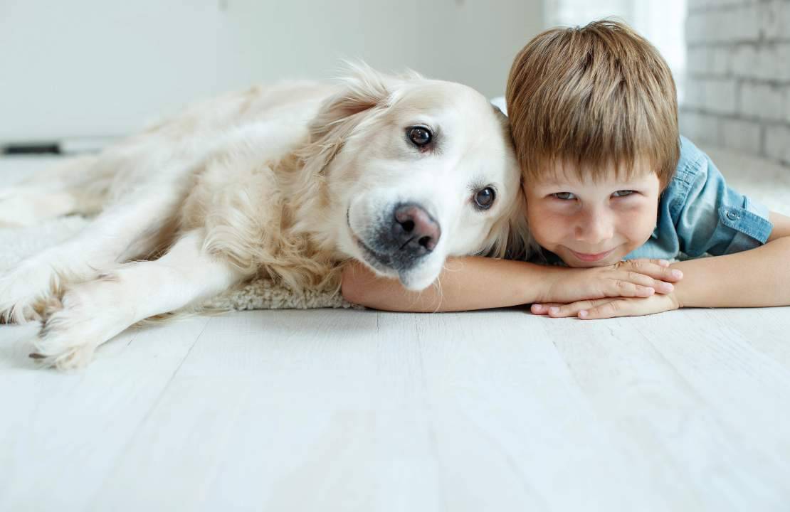 come scegliere cane
