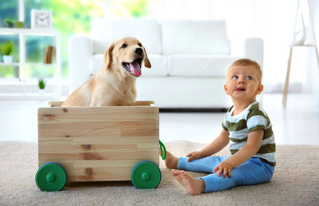 cane e bambino