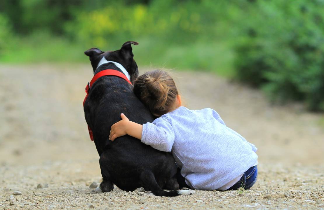 bambini e animali rapporto