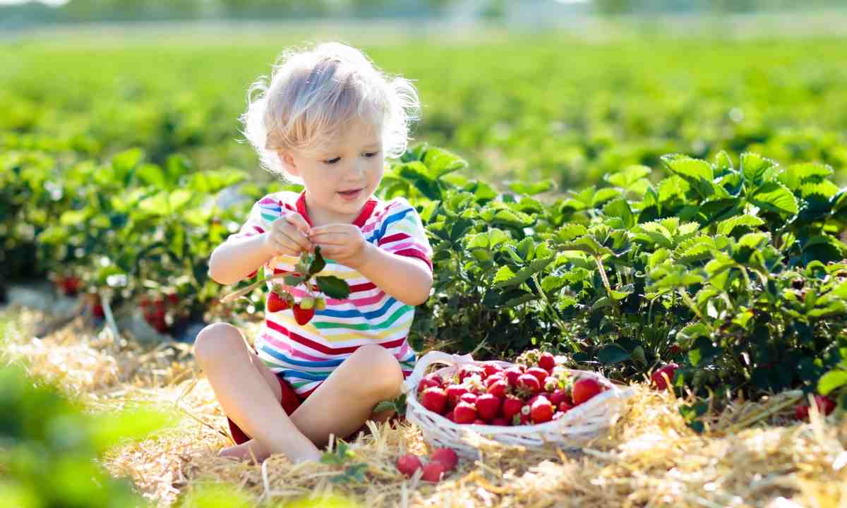 alimentazione biologica per bambini