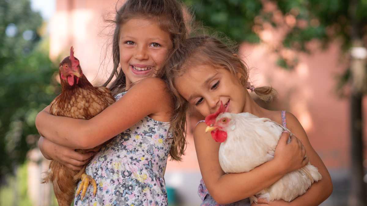 alimentazione biologica bambini