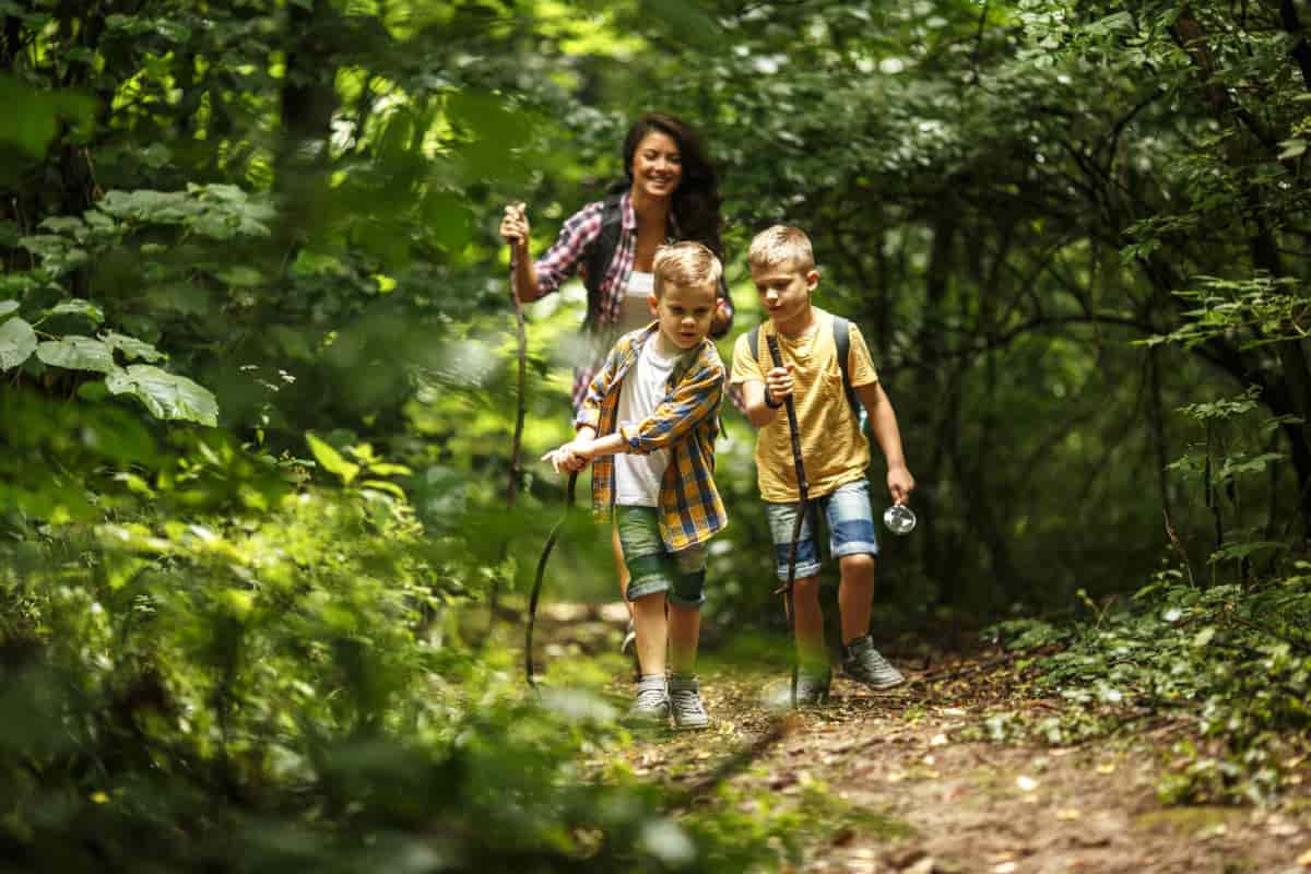 viaggio bambini boschi incantati