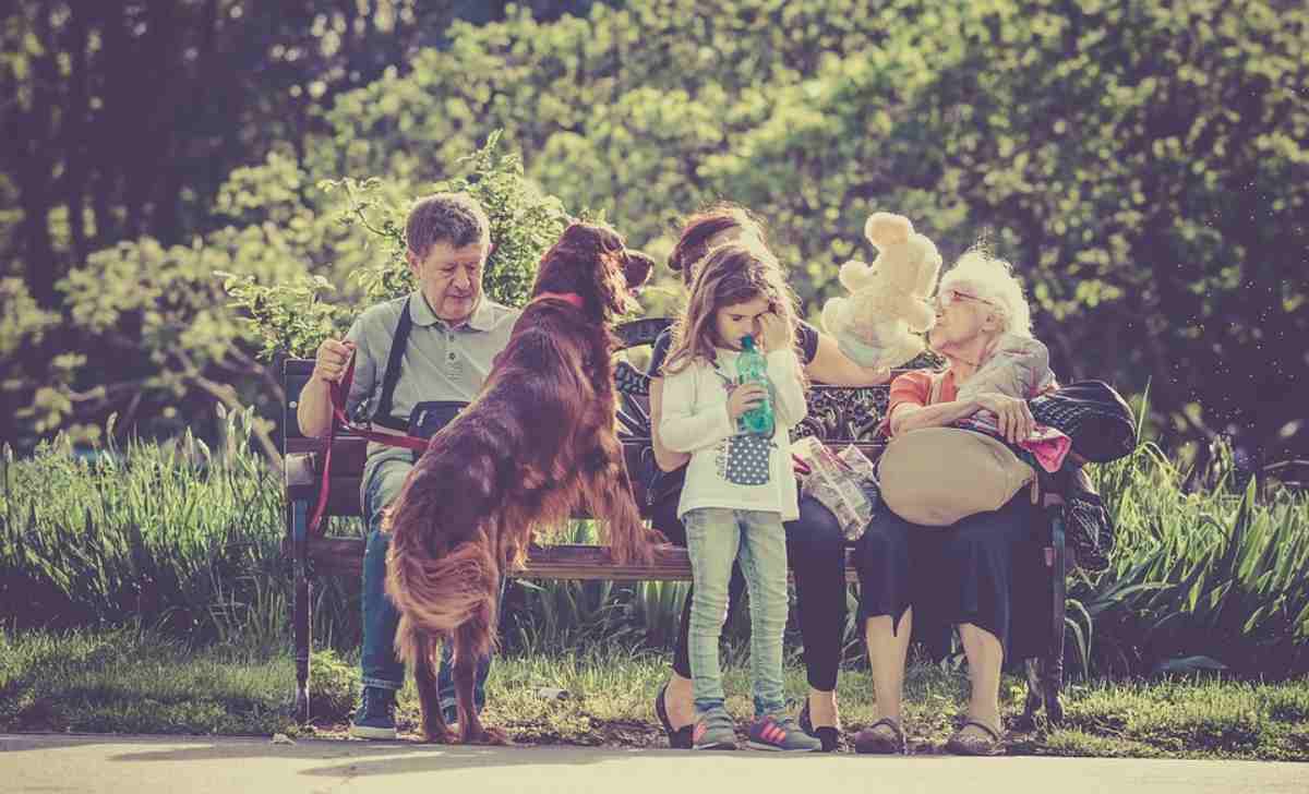 giornata internazionale dei cani