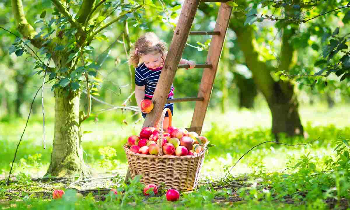 cibi autunnali per i bimbi