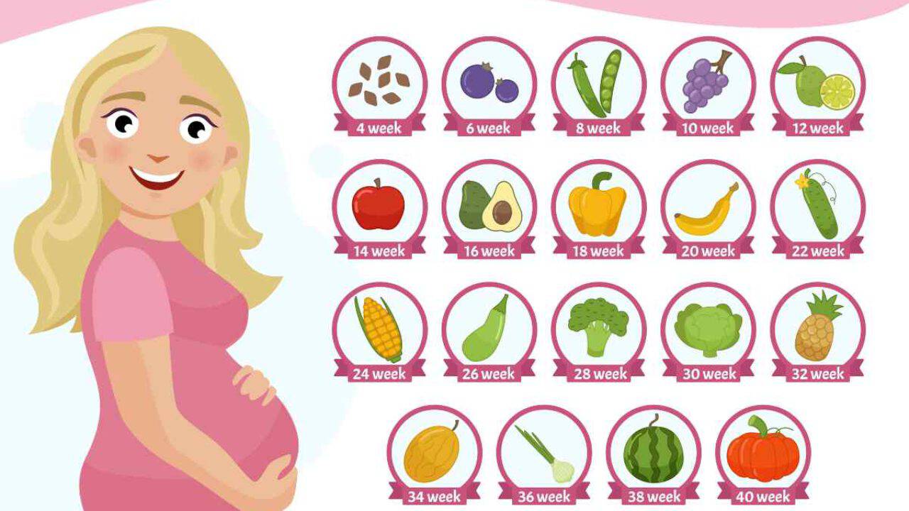 Misure Ed Evoluzione Del Feto Nel Terzo Trimestre Da Cavolo Rapa A Zucca