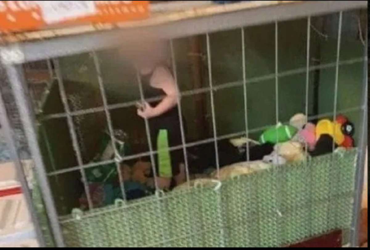 Bambino in gabbia