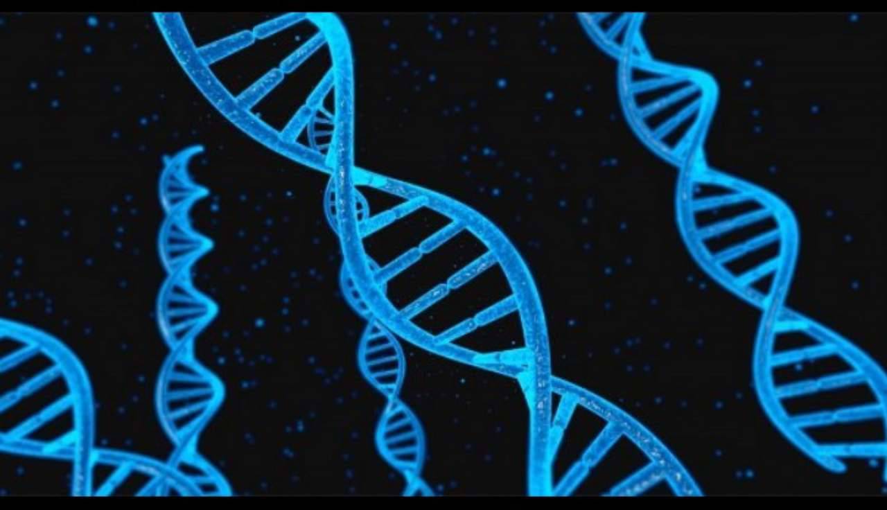 Dna mitocondriale (fonte Instagram @mnmdiagnostics)