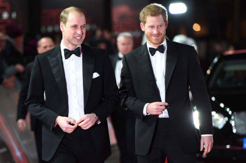 Principi Harry e William