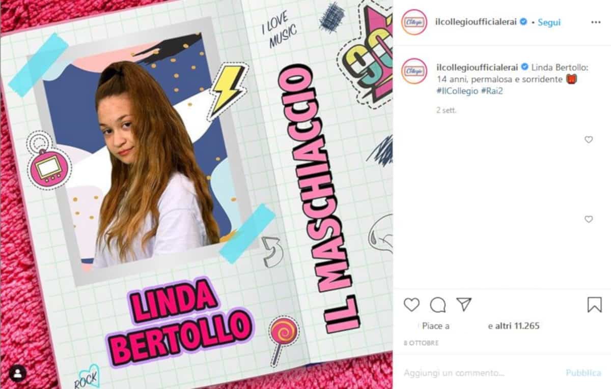 collegio 5 linda bertollo