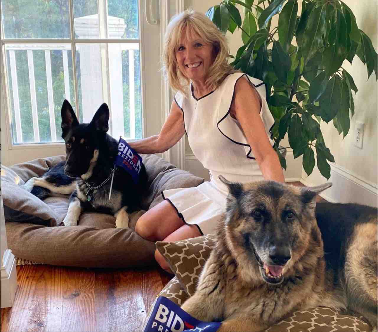 jill biden biografia