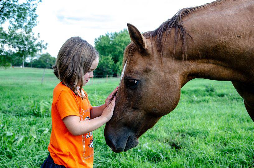 cavalli autismo