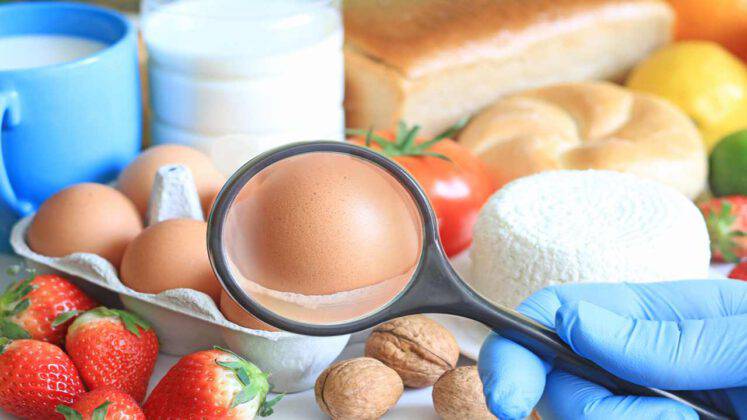 L allergia All uovo Si Cura Con I Biscotti Lo Studio Italiano