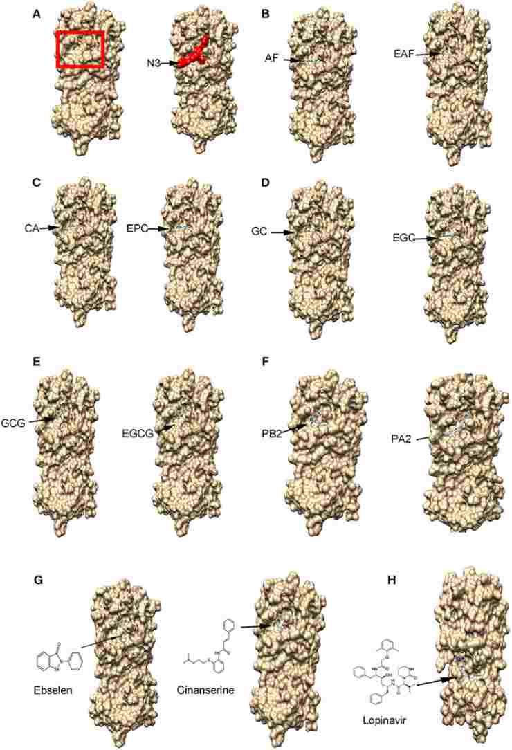 ricerca cibi contro COvid