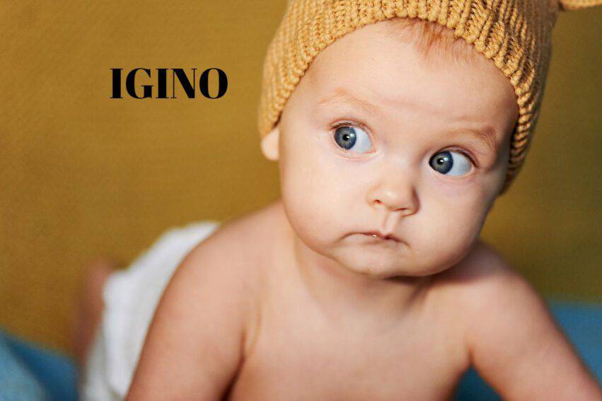 baby name igino