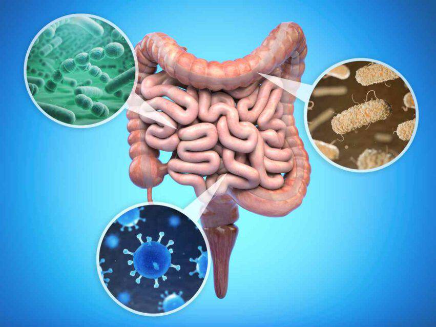 microbioma e Covid