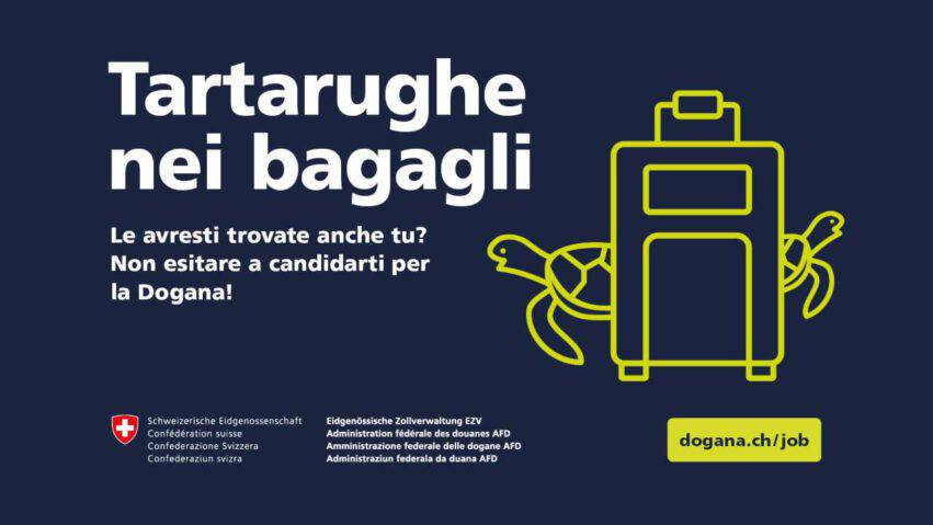 reclutamento Svizzera
