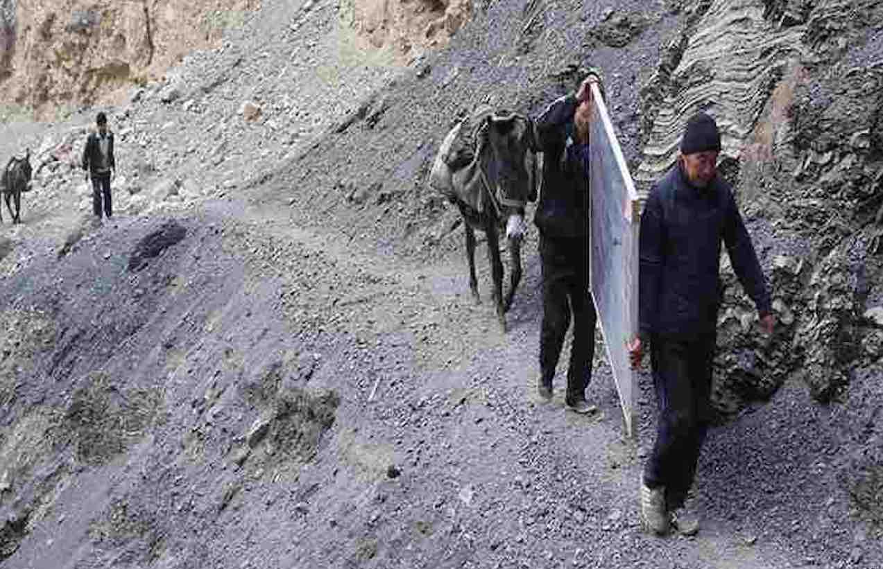 asino per internet a scuola