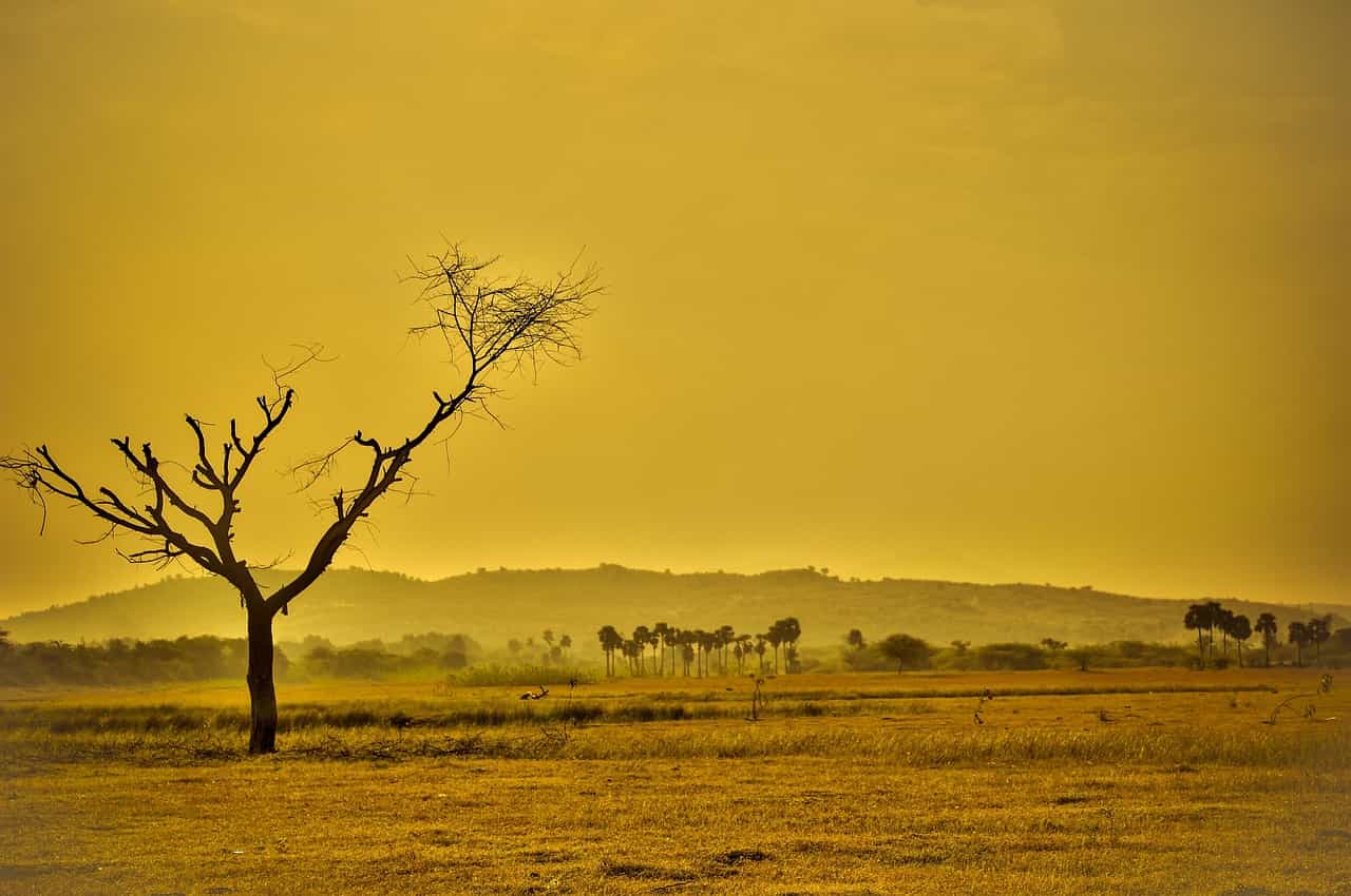 cambiamento climatico pandemia