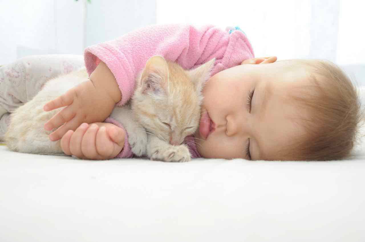 gatto con bambino dormono