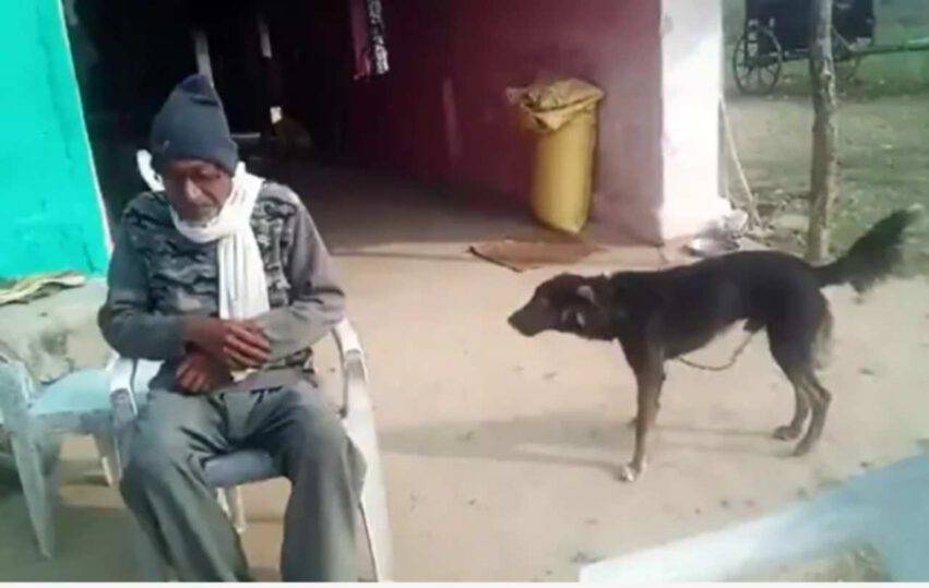 papà e l'eredità al cane