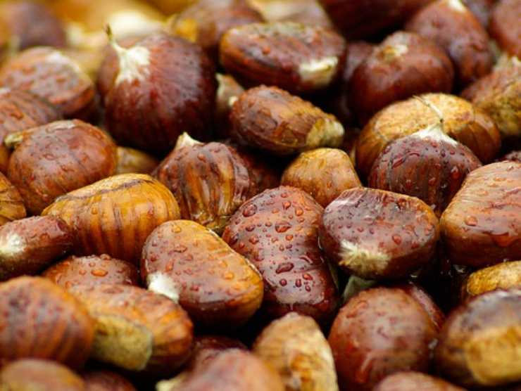 castagne morbide