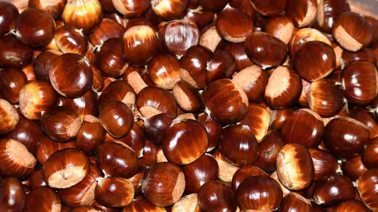 castagne