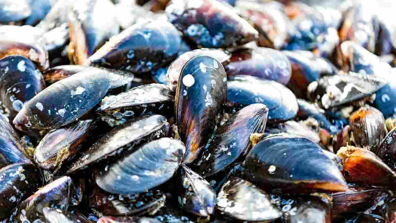 pulire le cozze 