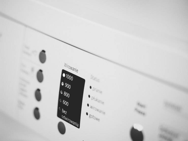 peli animale vestiti 