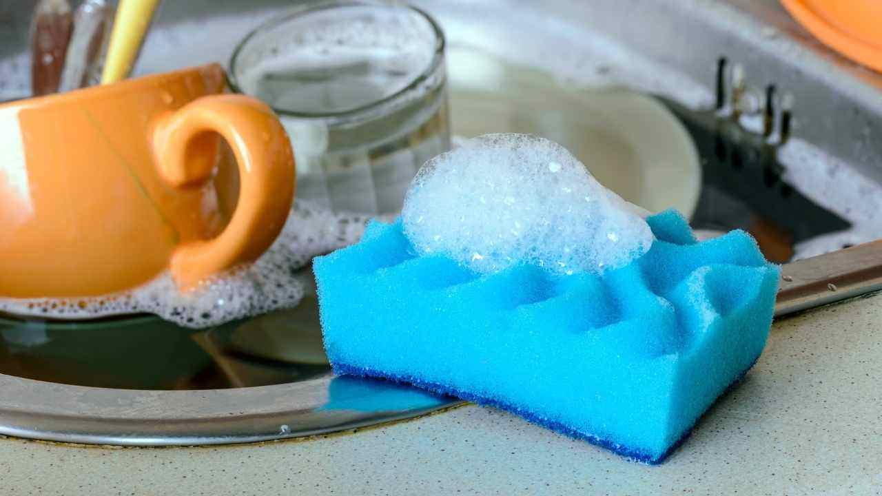 spugna piatti pulita