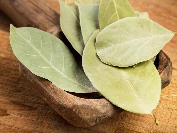 ingrediente pancia gonfia