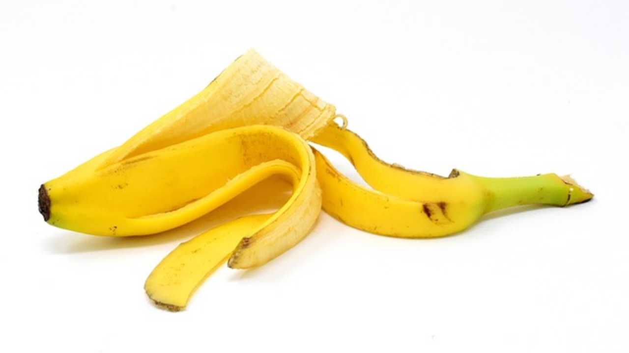 buccia banana usare