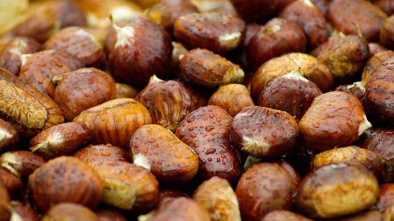 Castagne cotte