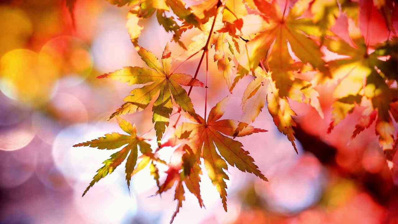 Gioco molto divertente