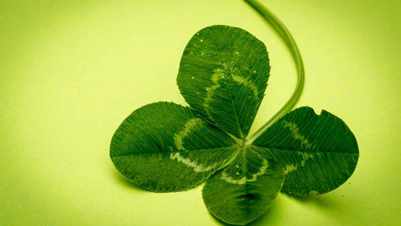 Segni molto fortunati