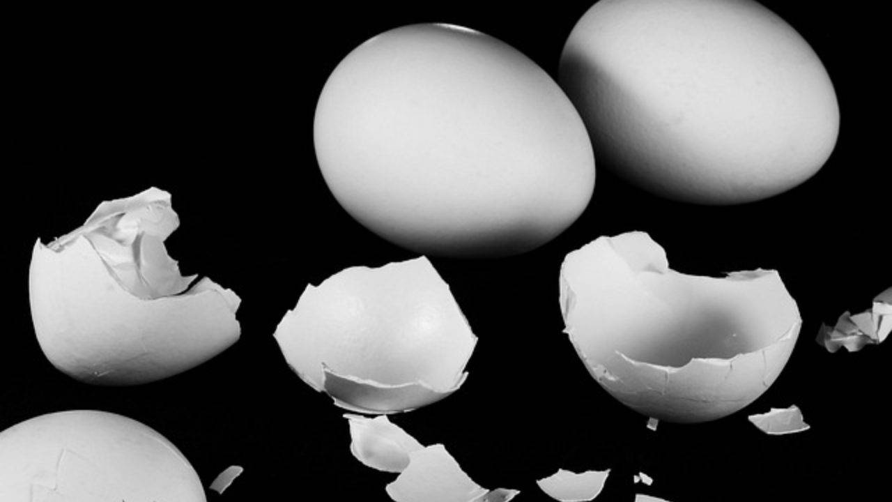 gusci uova lavatrice