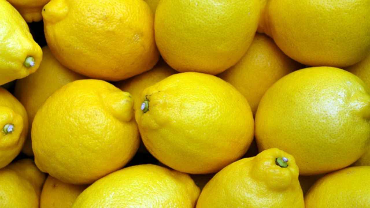 limone frigorifero